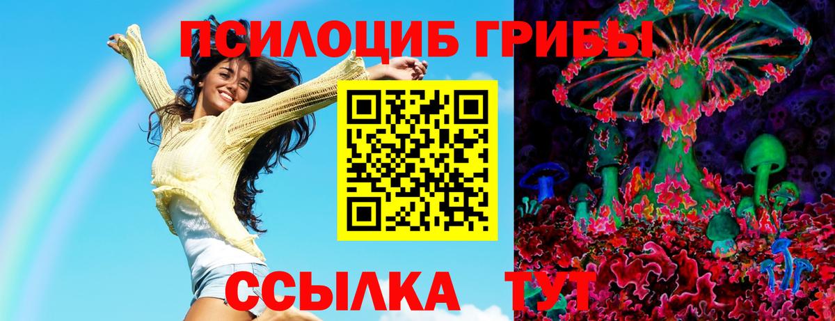 Ливны  Псилоцибиновые грибы прущие грибы  где найти   Вход с VPN 